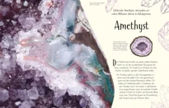 Wundervolle Welt. Erde*Dorling Kindersley Verlag Online