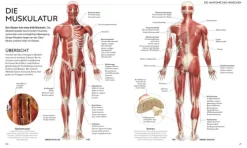 Dorling Kindersley Verlag Ratgeber|Self Care*Yoga verstehen - Die Anatomie der Yoga-Haltungen