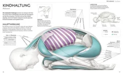 Dorling Kindersley Verlag Ratgeber|Self Care*Yoga verstehen - Die Anatomie der Yoga-Haltungen