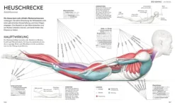Dorling Kindersley Verlag Ratgeber|Self Care*Yoga verstehen - Die Anatomie der Yoga-Haltungen