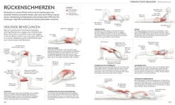 Dorling Kindersley Verlag Ratgeber|Self Care*Yoga verstehen - Die Anatomie der Yoga-Haltungen