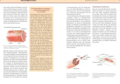 riva Verlag Self Care*Yoga-Anatomie