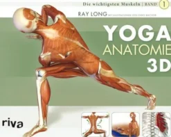 riva Verlag Self Care-Yoga-Anatomie 3D
