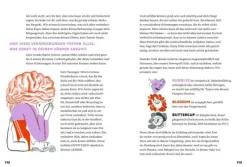 You are a Girl on Fire*FISCHER Sauerländer New