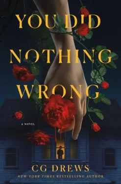 St. Martin's Publishing Group Krimis & Thriller-You Did Nothing Wrong