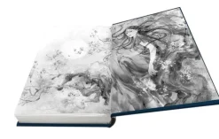 Knaur HC High Fantasy*Yumi and the Nightmare Painter