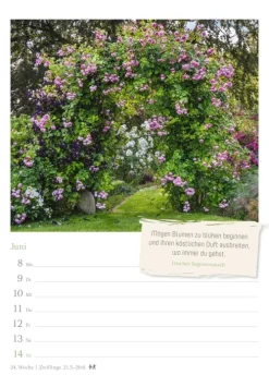 Zauberhafte Gärten Wochenkalender 2026 - mit Zitaten*Harenberg New