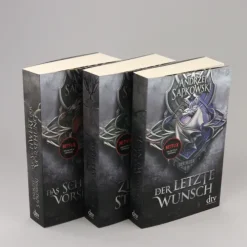 dtv Verlagsgesellschaft High Fantasy*Zeit des Sturms