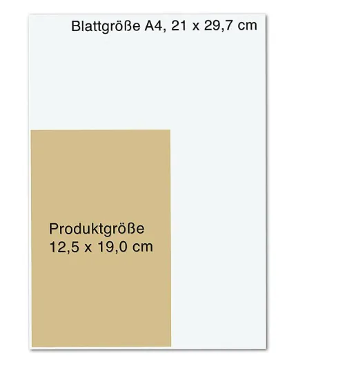 Knaur Taschenbuch Biografien & Erinnerungen|Schicksalsromane-Zeit zu verzeihen