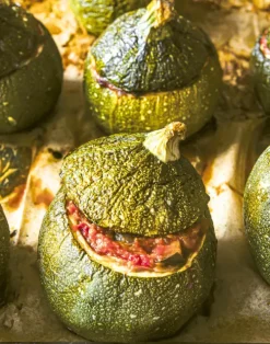 Zufällig vegan*smarticular Verlag