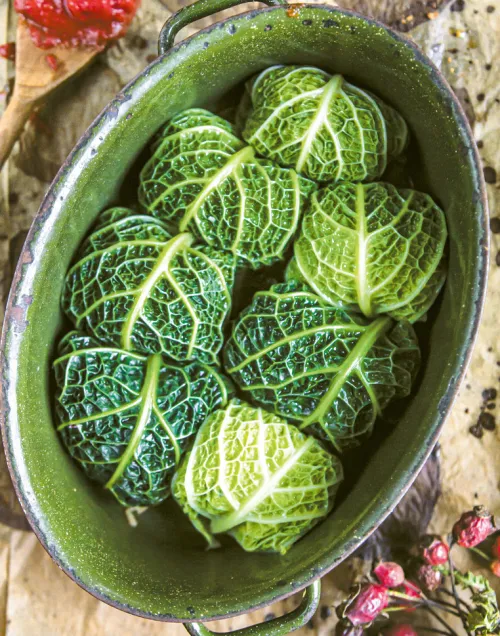 Zufällig vegan*smarticular Verlag