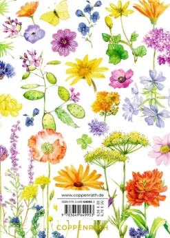 Zum Geburtstag alles Gute*Coppenrath Best