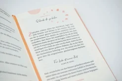 Rowohlt Taschenbuch Ratgeber|Gesellschaft-Zurück zu mir