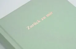 Rowohlt Taschenbuch Ratgeber|Gesellschaft-Zurück zu mir