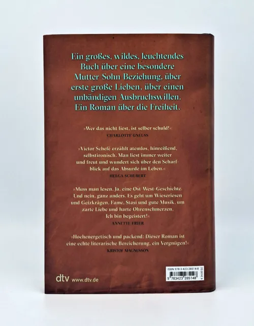 dtv Verlagsgesellschaft Lgbtqia+*Zwei, drei blaue Augen