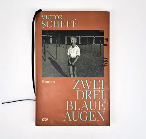 dtv Verlagsgesellschaft Lgbtqia+*Zwei, drei blaue Augen