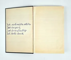 dtv Verlagsgesellschaft Lgbtqia+*Zwei, drei blaue Augen