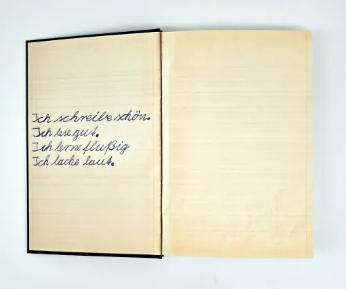 dtv Verlagsgesellschaft Lgbtqia+*Zwei, drei blaue Augen