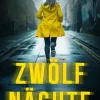 dp DIGITAL PUBLISHERS GmbH Psychothriller|Thriller*Zwölf Nächte | Ein fesselnder Psychothriller